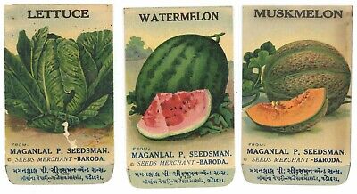 3 Different Antique Vegetable Seed Packets, 1910-20's, H07, Wear