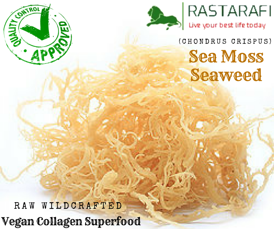 Rastarafi® Whole Leaf Irish Moss Sea Moss 1 Lb | Raw Wildcrafted Superfood-16 Oz