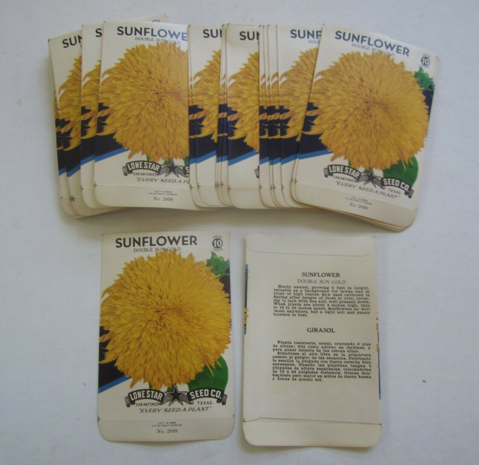 Lot Of 25 Old Vintage 1940's - Sunflower - Sun Gold - Flower - Seed Packets