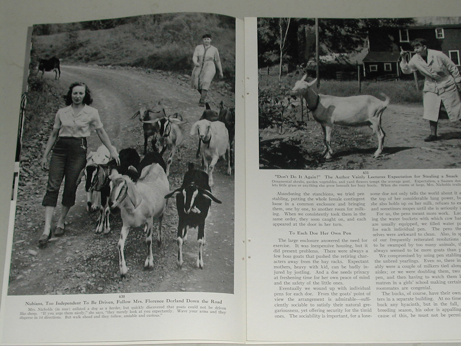1954 Thunder Hill Goat Farm Magazine Article New York State 4 Woman Goat Raising