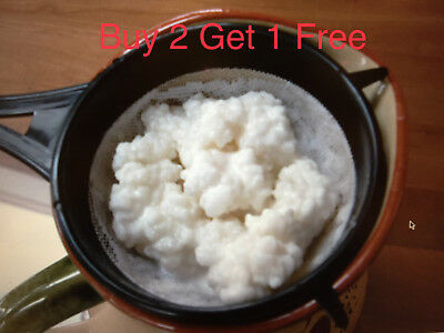 Local Farm Organic Milk Kefir Grains 1/2 Tsp Buy 2get1 Free Detailed Instruction