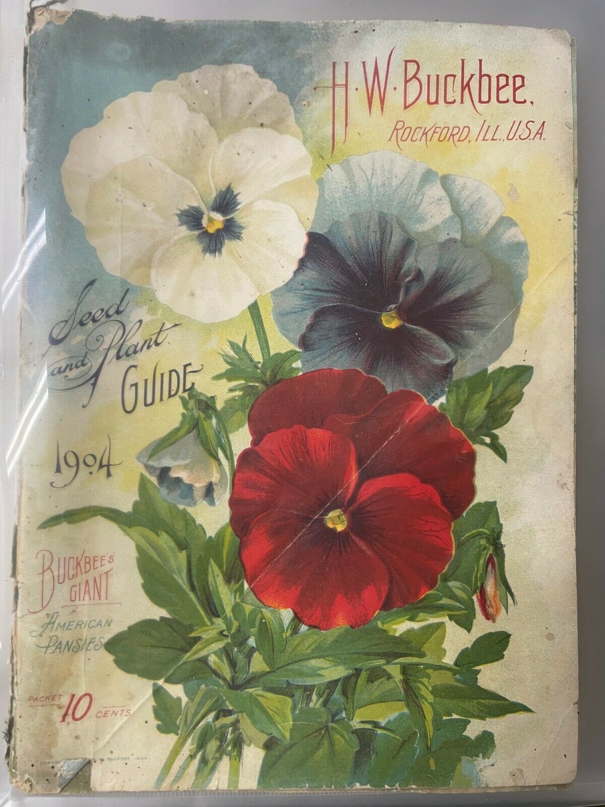 1904-1937 6-piece Historical Collection Of Buckbee Seed Co. Catalogues