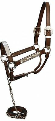 Leather And Silver Western Horse Show Halter With Matching Lead And Chain