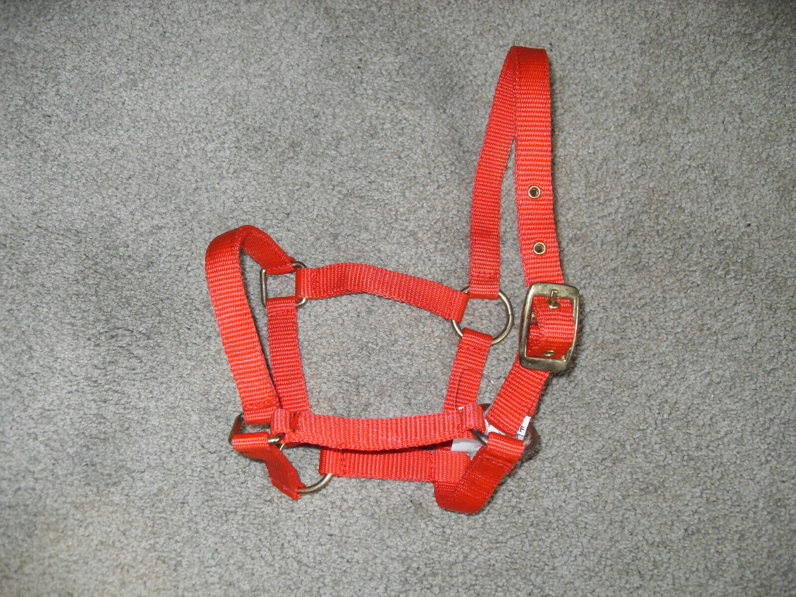 New Pony Or Foal Size Nylon Halter  Red Color, Brass Color Hardware, Cute