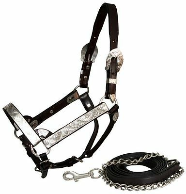 Leather + Silver Horse Show Halter W/ Matching Lead And Chain Dark Brown Leather