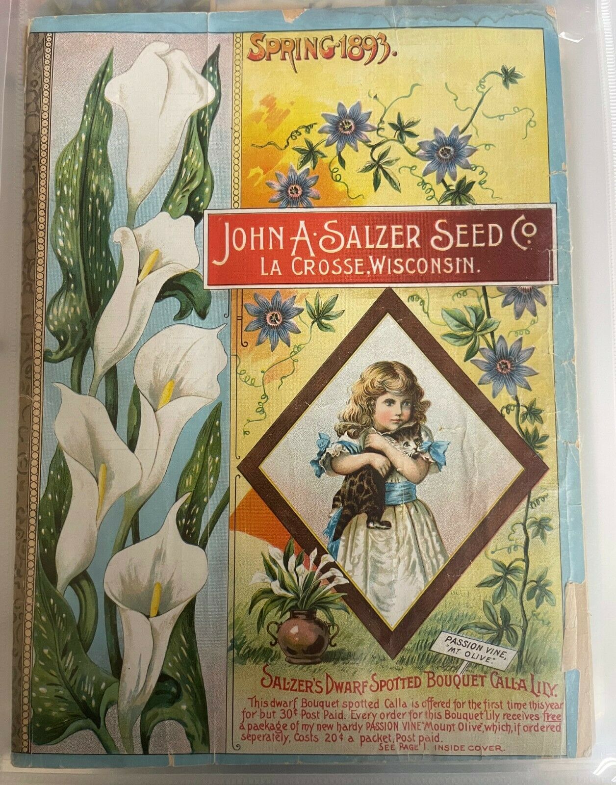 1893 - 1943 Historical Collection Of John Salzer Seed Co. Catalogues