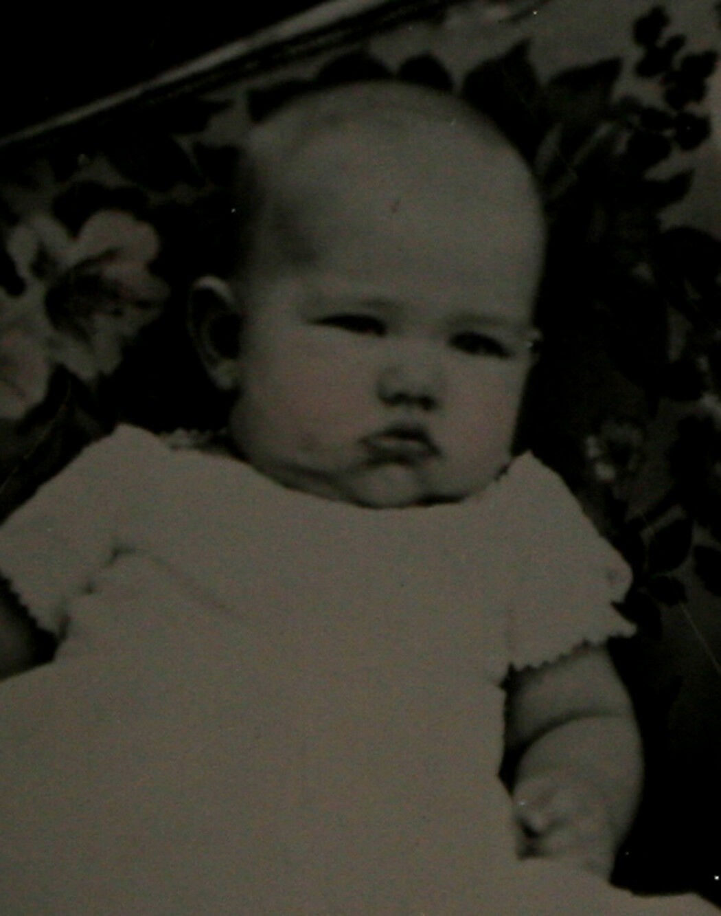 Chubby Cheeked Baby On Floral Print Couch. 6th Plate Ambrotype By Bowdoin.