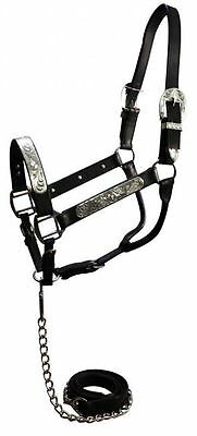 Black Leather And Silver Western Horse Show Halter W/ Matching Lead And Chain