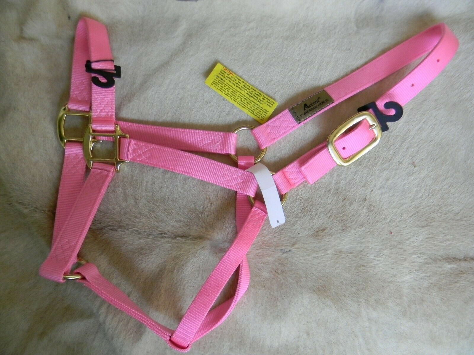 Pretty Pink Horse Size 1" Wide Web Halter Brass Hardware New With Tags
