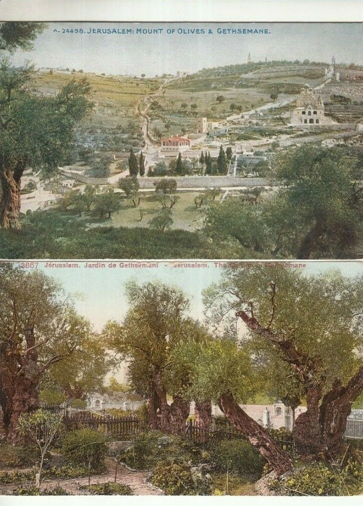 Israel Palestine Garden Of Gethsemane & Mount Of Olives - Very Fine Old Postcard